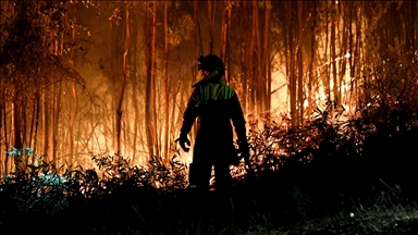 700 vehicles destroyed at storage facility in forest fire in Malaysia