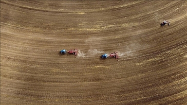 Türkiye genelindeki tarım sayımında sona yaklaşıldı