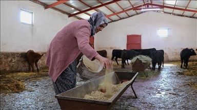 Devlet desteğiyle besiciliğe başlayan kadın çiftçi 5 ayda hayvan sayısını ikiye katladı