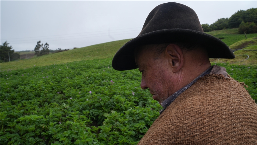 US making it cheaper for farmers to hire foreign farmworkers to address labor shortage: Report