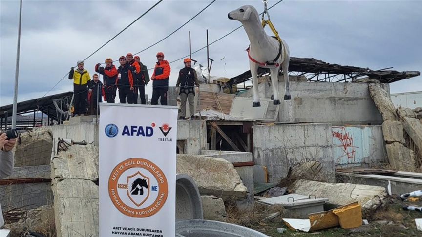 AFAD'dan afetlerde hayvanların korunmasına yönelik uluslararası proje