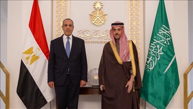 السعودية ومصر تبحثان جهود خفض التصعيد بالمنطقة