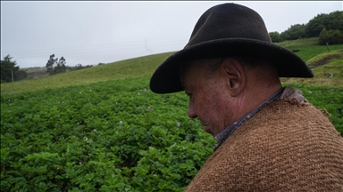 US making it cheaper for farmers to hire foreign farmworkers to address labor shortage: Report