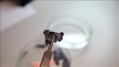 برقائق نانوية.. علماء أتراك يحولون الحرارة المهدورة إلى كهرباء