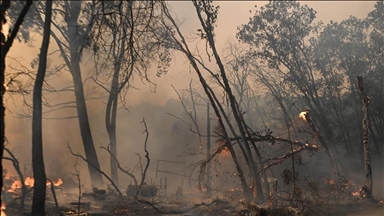 Nebraska's largest wildfire to date continues to burn out of control