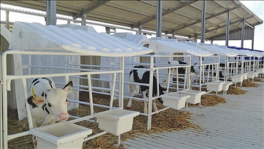 Karmod a exporté des abris pour veaux vers la Pologne