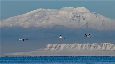 Van Gölü'nün misafirlerine kar sürprizi
