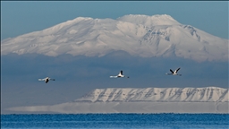 Van Gölü'nün misafirlerine kar sürprizi