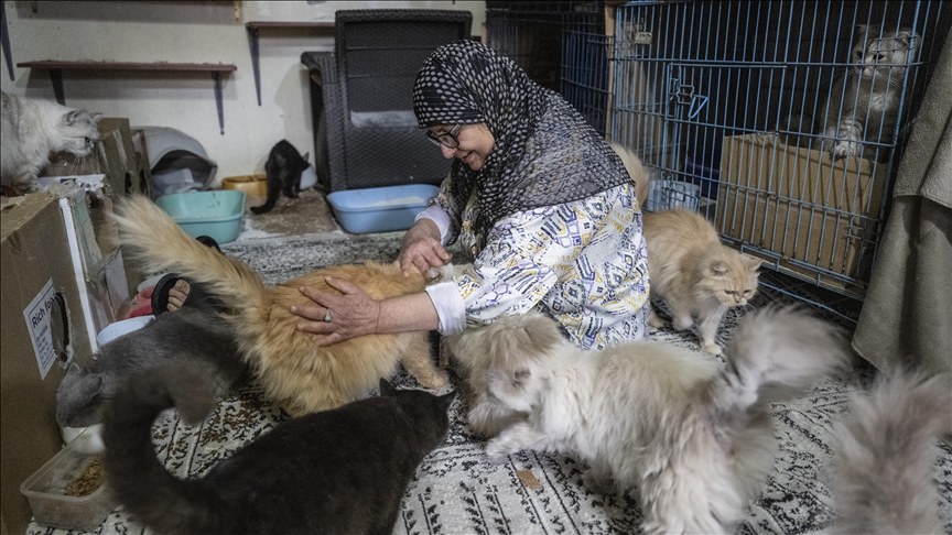 “Nuk mund t’i lija pas”: Arratisja e dëshpëruar e një gruaje libaneze me 40 mace nga sulmet izraelite