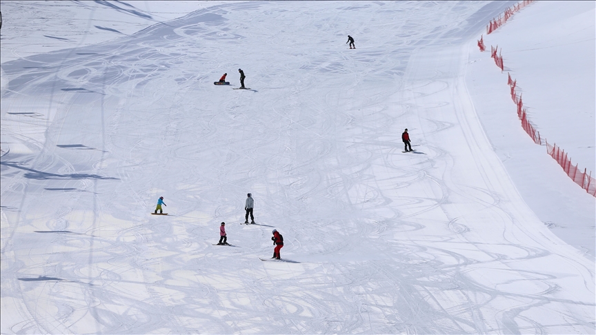 Li Navenda Kaşûnê ya Hesarekê ya li Bîngolê di biharê da kêfa kaşûnê