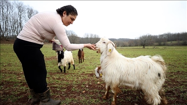Moda tasarımcısı şehrin stresinden uzaklaşmak için kamp yaptığı köye göç etti