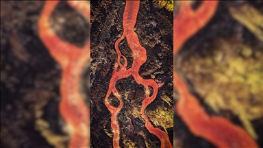 Rrjedha e lavës nga vullkani në Ishullin Reunion përfshin sipërfaqe të mëdha toke, arrin edhe në Oqeanin Indian