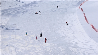 Li Navenda Kaşûnê ya Hesarekê ya li Bîngolê di biharê da kêfa kaşûnê