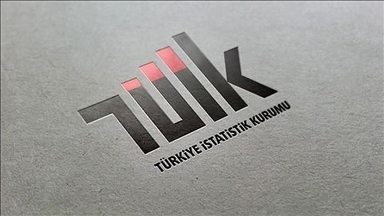 TÜİK, altın ve enerji hariç dış ticaret endekslerini yayımlayacak