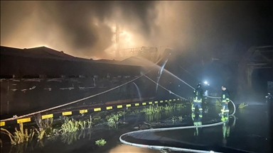 Ukraine says Russian strikes damage energy, industrial, port infrastructure in Odesa region