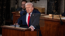 Trump says 'NATO is making a very foolish mistake' by not joining Iran war