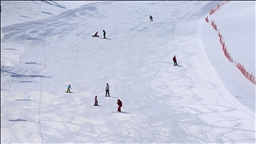 Li Navenda Kaşûnê ya Hesarekê ya li Bîngolê di biharê da kêfa kaşûnê