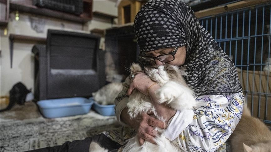 „Не можев да ги оставам“ – либанска љубителка на животни спаси 40 мачки од израелските напади