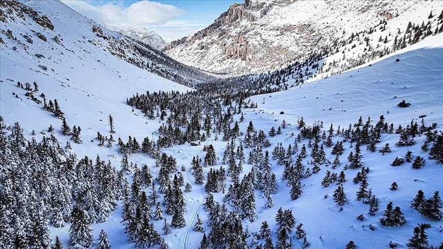 Torosên Navîn ên di bin berfê da ji hewa da hatin kişandin
