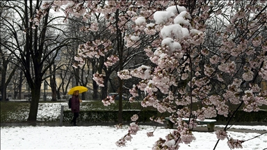 Snijeg prekrio behar u Sarajevu