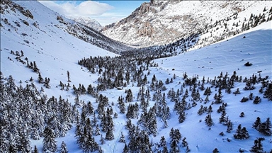 Torosên Navîn ên di bin berfê da ji hewa da hatin kişandin