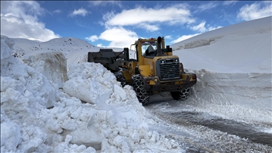 Li Bidlîsê du şepeyên ketin ser rê hatin paqijkirin