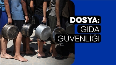 DOSYA: Gıda Güvenliği