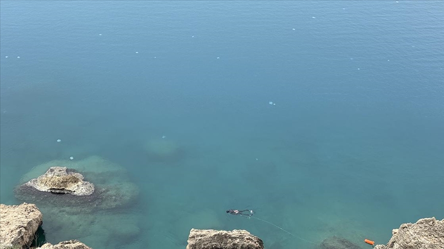 Antalya Körfezi'nde "göçmen denizanası" yoğunluğu yaşanıyor