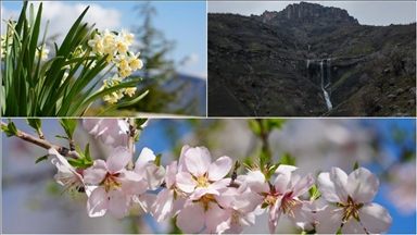 Hakkari'nin Derecik ilçesinde havanın ısınmasıyla doğa canlandı