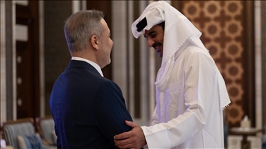 Turkish foreign minister meets Qatar emir in Doha