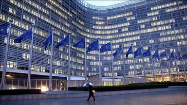 Ukrayna'ya 25 AB üyesinden destek