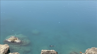 Antalya Körfezi'nde "göçmen denizanası" yoğunluğu yaşanıyor