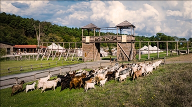 Bozdağ Film Platoları, bayram coşkusunu ziyaretçileriyle buluşturmaya hazır