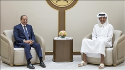 قطر ومصر تدعوان لتكثيف الجهود الإقليمية والدولية لخفض التصعيد