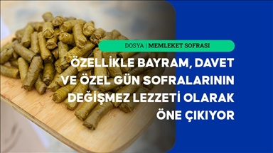 Etli yaprak sarması