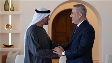 Turkish foreign minister meets United Arab Emirates president