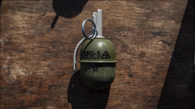 Almanya'dan Körfez ülkeleri ve Ukrayna'ya silah ihracatında "hızlı hat" kararı