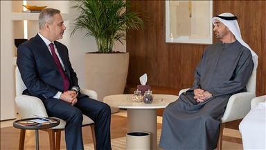 رئيس الإمارات يستقبل وزير خارجية تركيا
