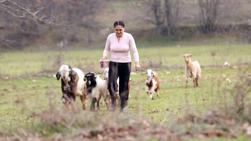 Stilistja turke e modës u shpërngul në fshatin ku bënte kamp për t u larguar nga stresi i Stambollit