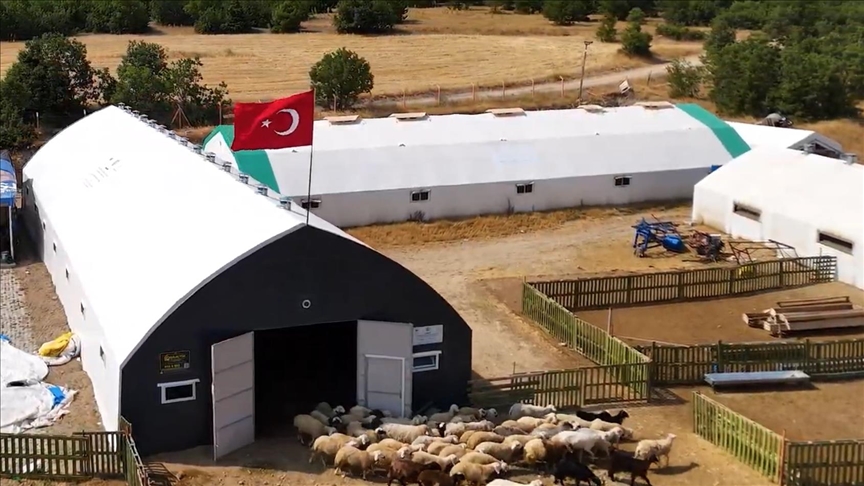 Çadır ağıl desteğiyle büyüttüğü işinde küçükbaş hayvan sayısını artırdı 