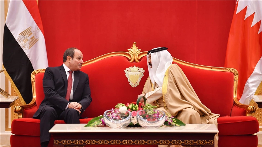 البحرين ومصر تؤكدان أهمية التعاون الدولي لحماية مضيق هرمز