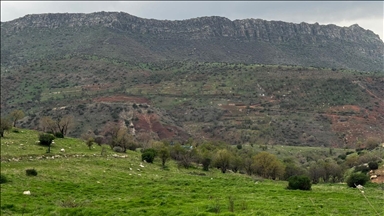 سەیرانگاکانی دهۆک لە نەورۆزدا چۆڵن