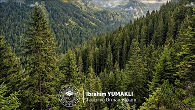 Bakan Yumaklı, Dünya Ormancılık Günü ve Orman Haftası'nı kutladı