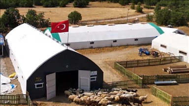 Çadır ağıl desteğiyle büyüttüğü işinde küçükbaş hayvan sayısını artırdı 