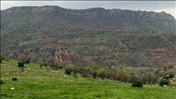 سەیرانگاکانی دهۆک لە نەورۆزدا چۆڵن