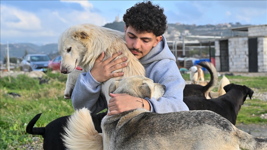 «Безгласные жертвы» израильских атак: молодой ливанец спасает брошенных животных в Бейруте