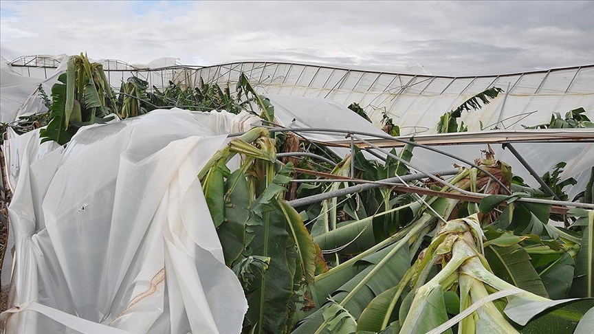 Mersin'de şiddetli rüzgar ve dolu nedeniyle 150 dönüm sera zarar gördü 