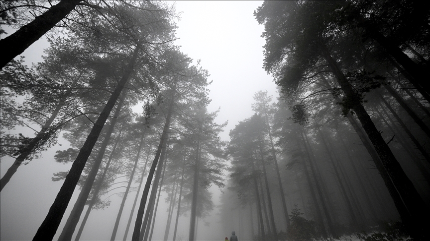 Düzce'nin yüksek kesimlerinde kar etkili oldu