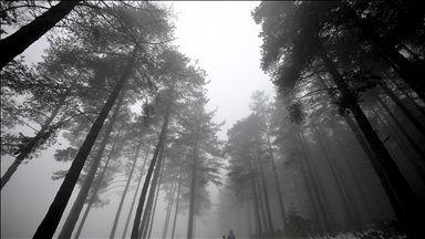 Düzce'nin yüksek kesimlerinde kar etkili oldu