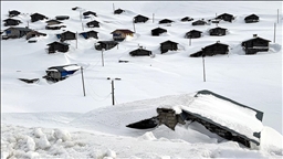 Zozanên navbera Erdexan û Artvînê bi berfê nixumîn